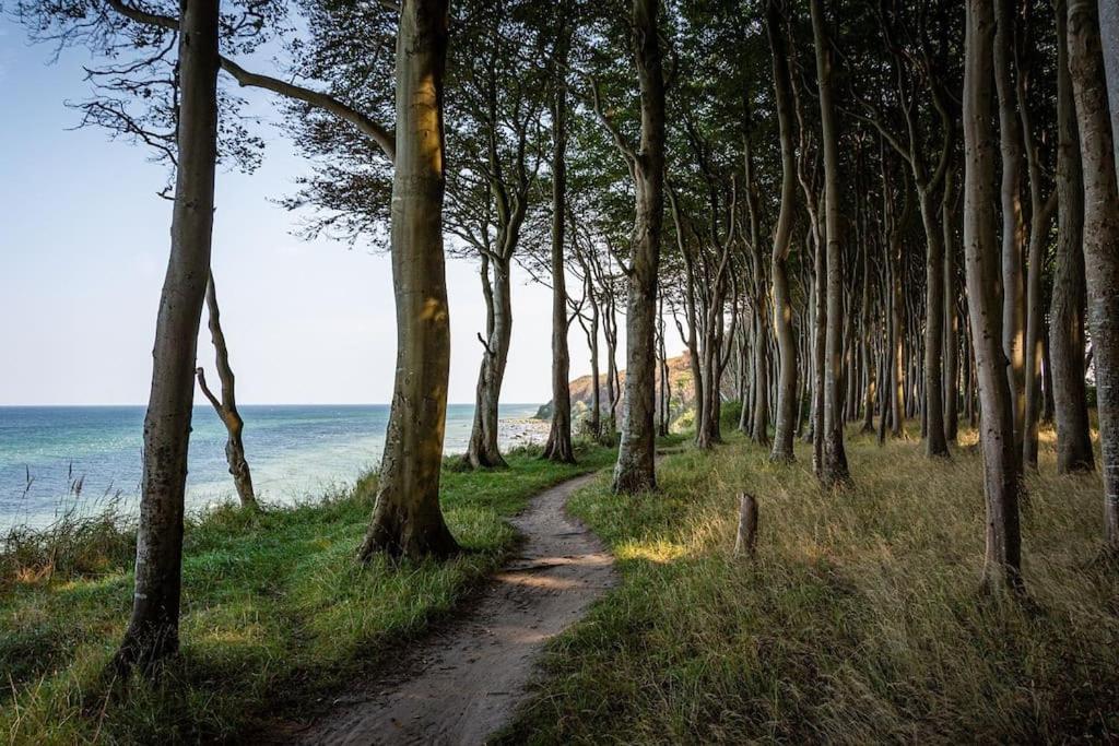 Eleganz Im Zentrum, Ostsee, Luebeck & Hotspots Nah! Бад-Швартау Экстерьер фото